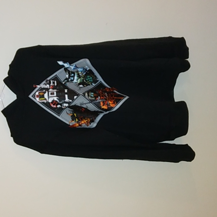 Roblox Graphic Hoddie